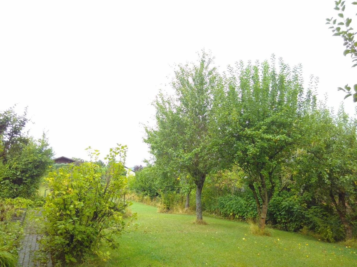 Ferienwohnung Am Mozarthuegel Варштайн Экстерьер фото